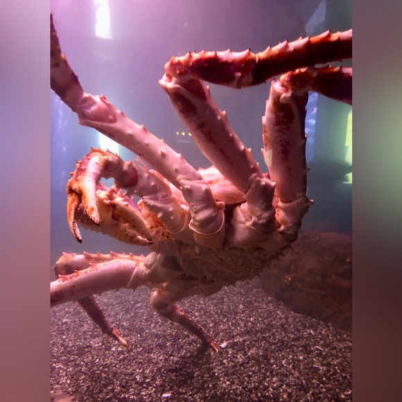 Meet your Posher, Raineylore - Picture 12 of 16